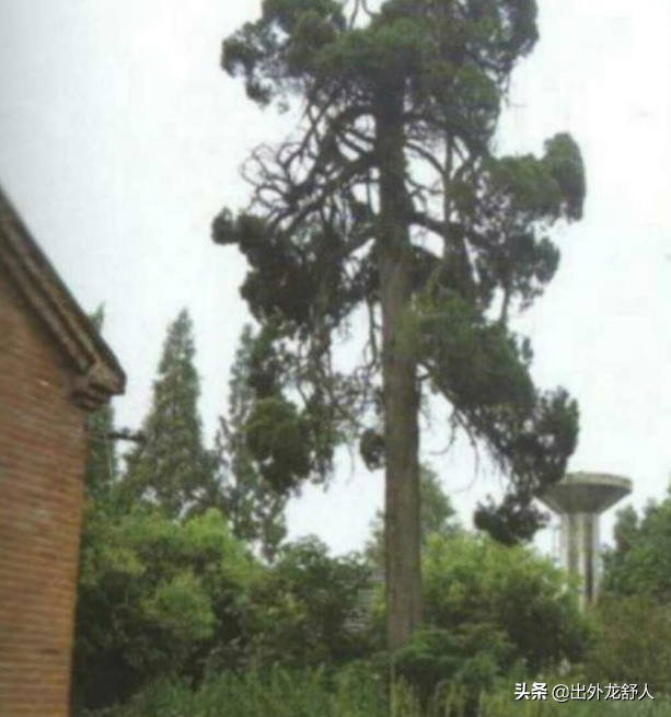 安徽舒城：曾在古楼岗束祠读书的庐江籍进士，江西同任两县39年！