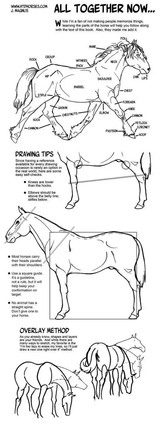 马很难画？那是你没有学过这些马的结构画法，从入门到基础，收藏