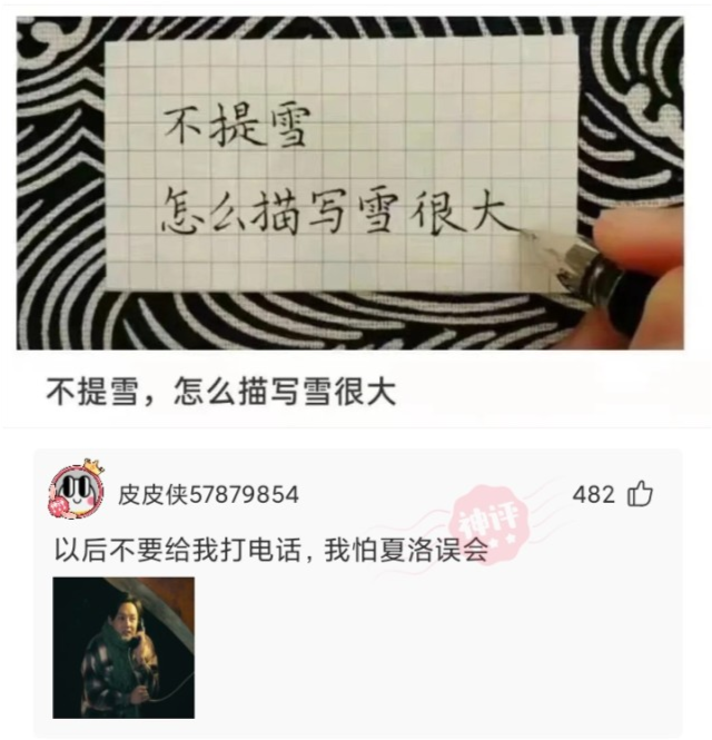 神回复：进网许可证被撕掉了，手机没网了，怎么办？网友：贴回去