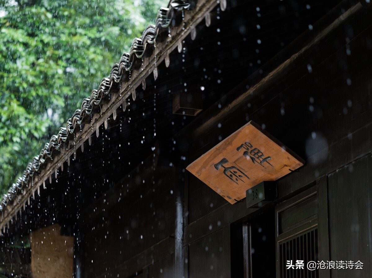 三首古诗写出夏雨之美，禅意悠然，读后身心清凉，你最喜欢哪一首