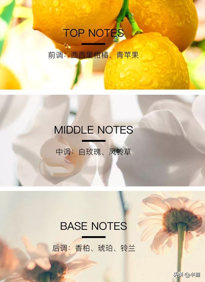 圣诞快乐叮叮当（圣诞节叮当）