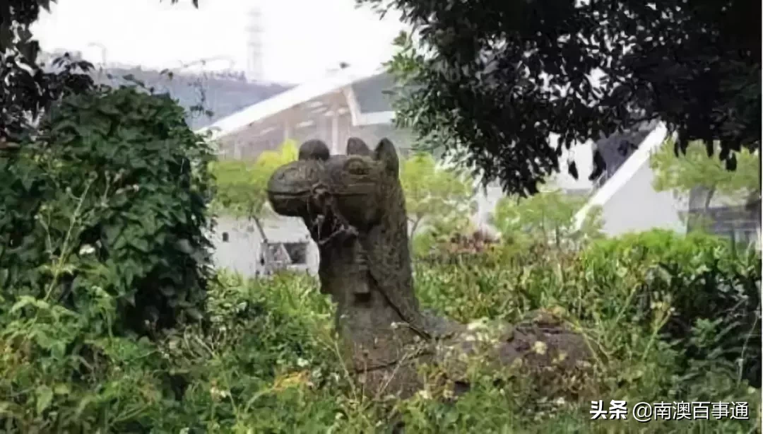 为什么广东那么多学校都建在乱葬岗上？汕大也是！