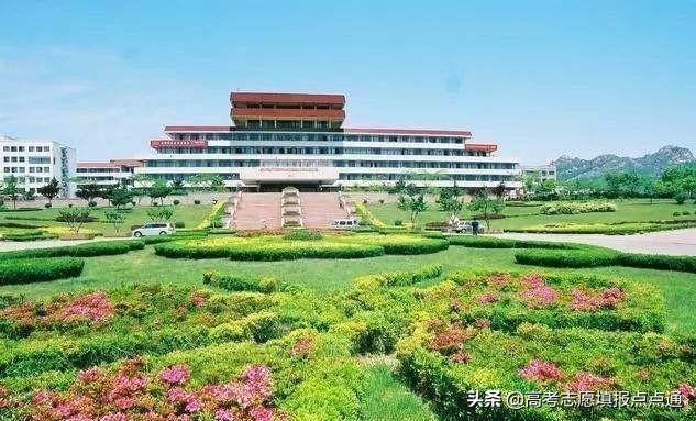 青岛大学优势专业分析及2019、2018年各省录取分数线