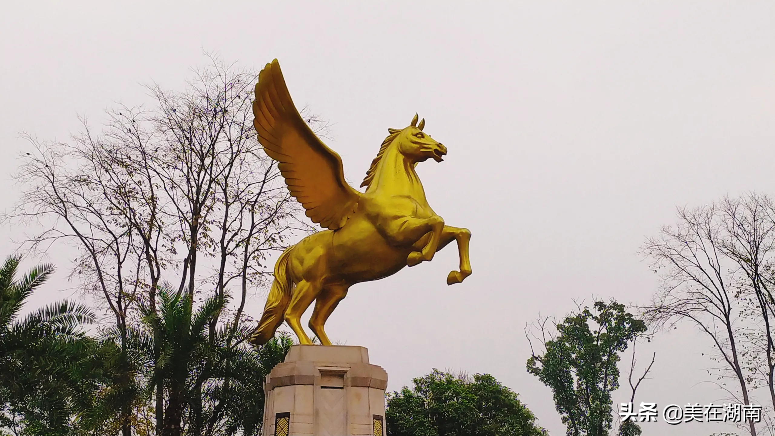 2021年高考，永州会有多少考生进入清华北大？