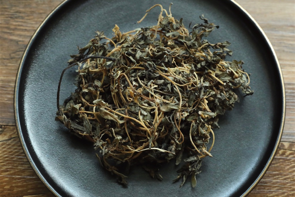 农村马齿苋太多吃不完,十分钟割一百斤,晒干做盐菜,能吃到冬天