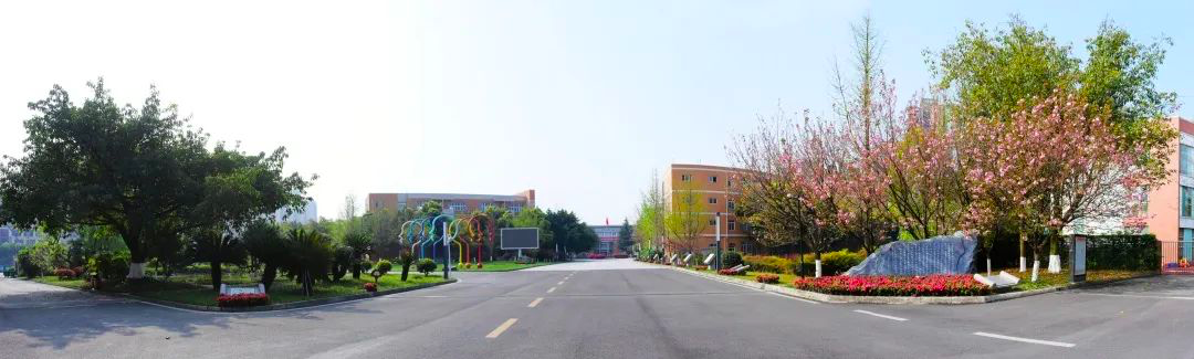 选对学校，从小学到高中一路直升！成都这些十二年一贯私立请收好