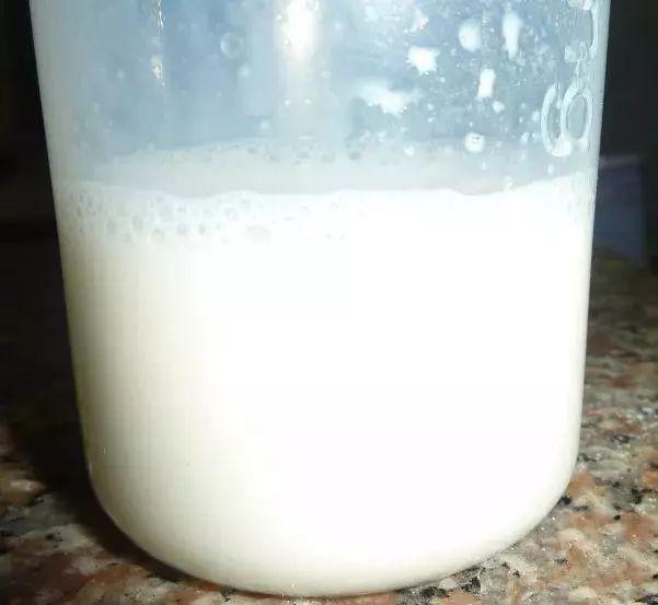 盆里倒一瓶牛奶，虫子全赶跑，叶子油绿发亮还茂盛！