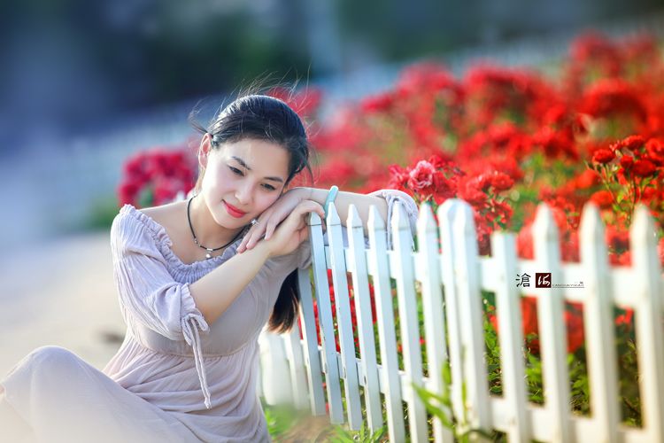 月季花鲜艳如火的画面，花海中唯美人像摄影