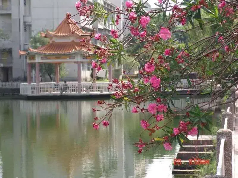 思之念之，我的广东医科大学