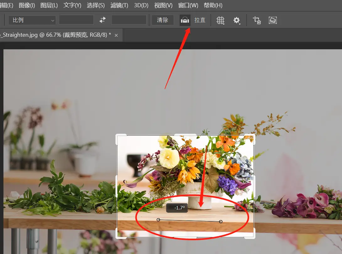 八：一分钟学会PS裁剪和调整图像大小