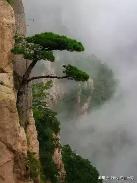 励志诗词:艰难困苦有时尽,人生没有过不去的坎