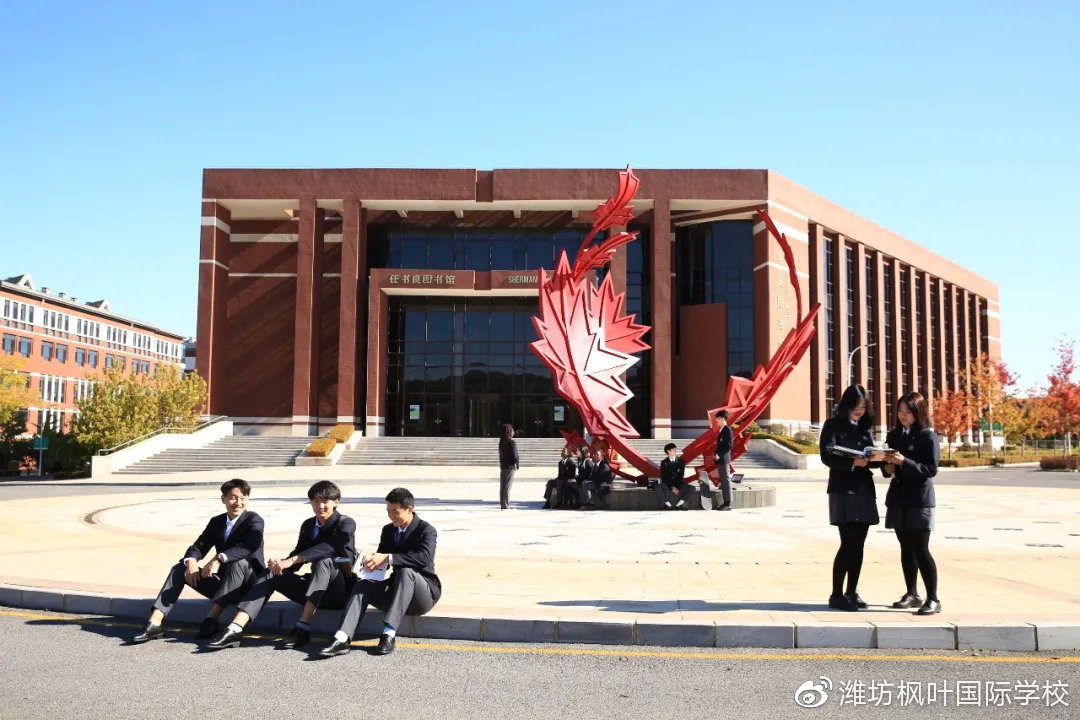 毕业后，他们还好吗？「选择枫叶高中系列之一」