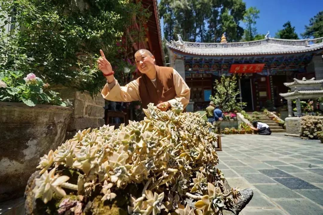中国最文艺尼姑庵，不烧香只种花，美得想出家！韩红也慕名来参访