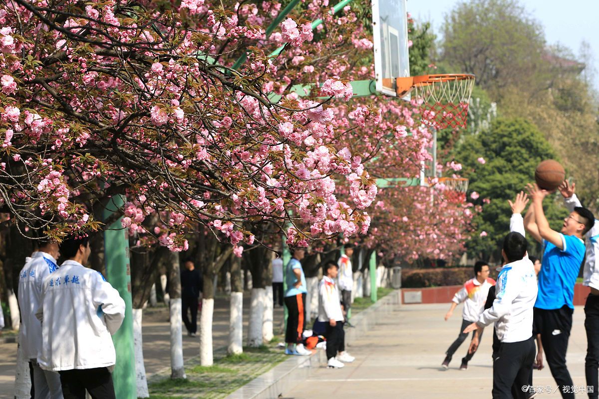 学校宿舍的“合资”洗衣机该怎么处理？走了！致毕业季未来可期