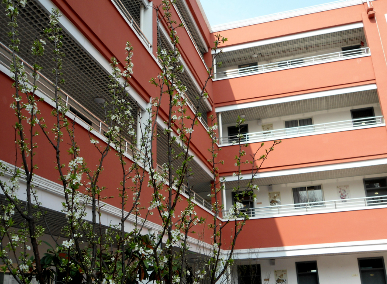 中考改革不用愁了！教育部门最新通知，职高学生也有机会上本科