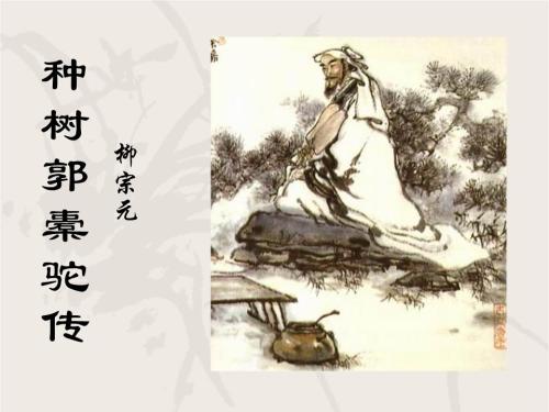 文言文‖《种树郭橐驼传》原文及译