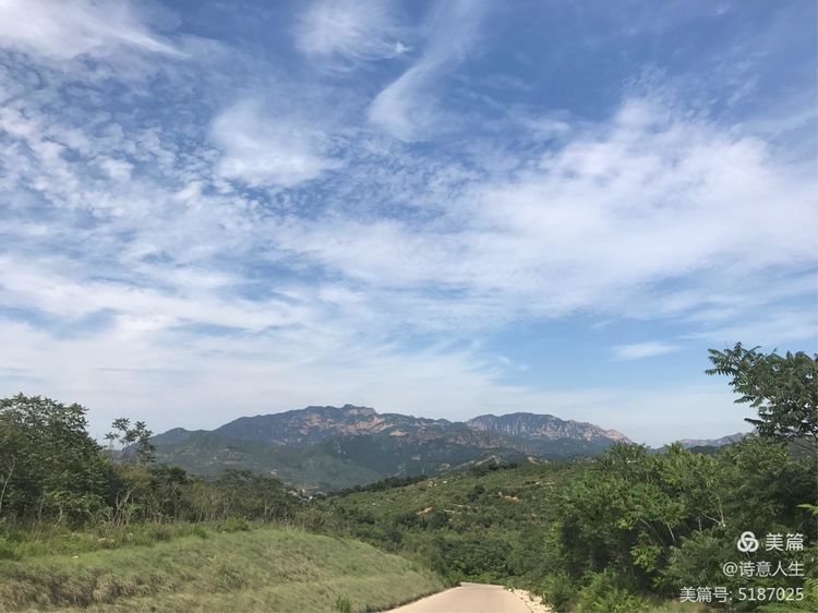 夏日登山汗如泉