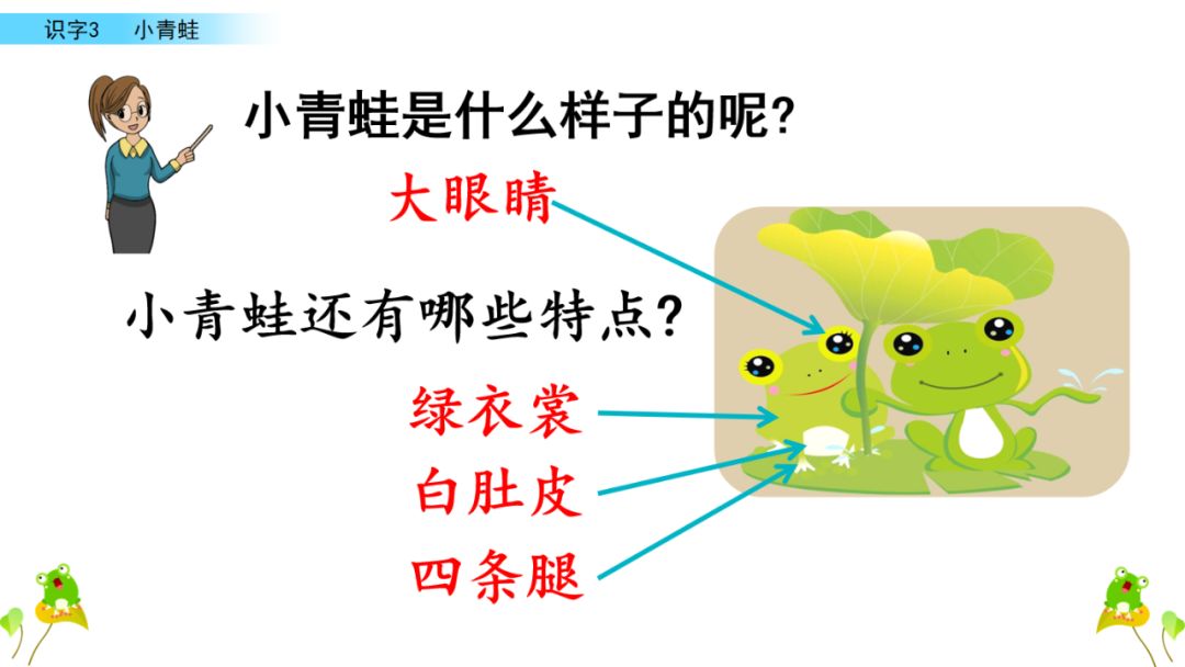 小学语文一年级下册 识字3《小青蛙》课文学案课件、同步练习答案