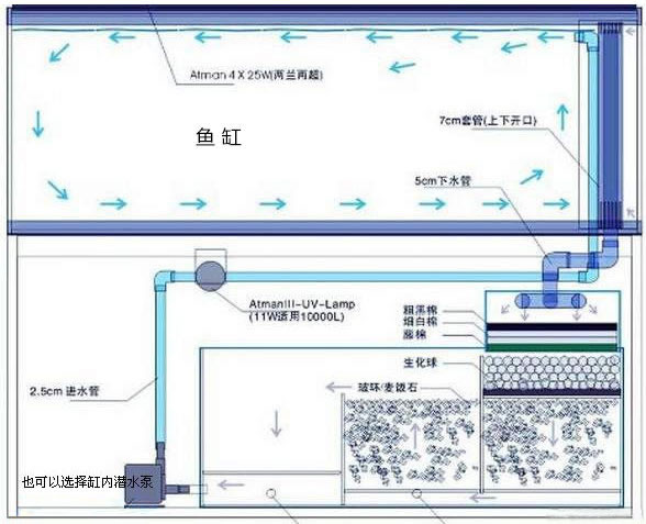 鱼缸的核心是什么为什么总养不好鱼