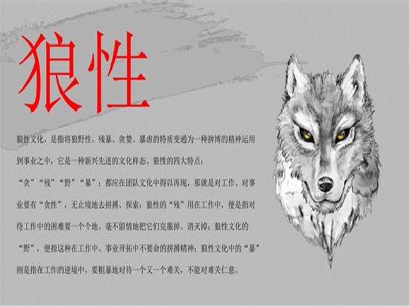 《狼道》:狼的强者精神值得人们学习,10句话让你拥有狼性