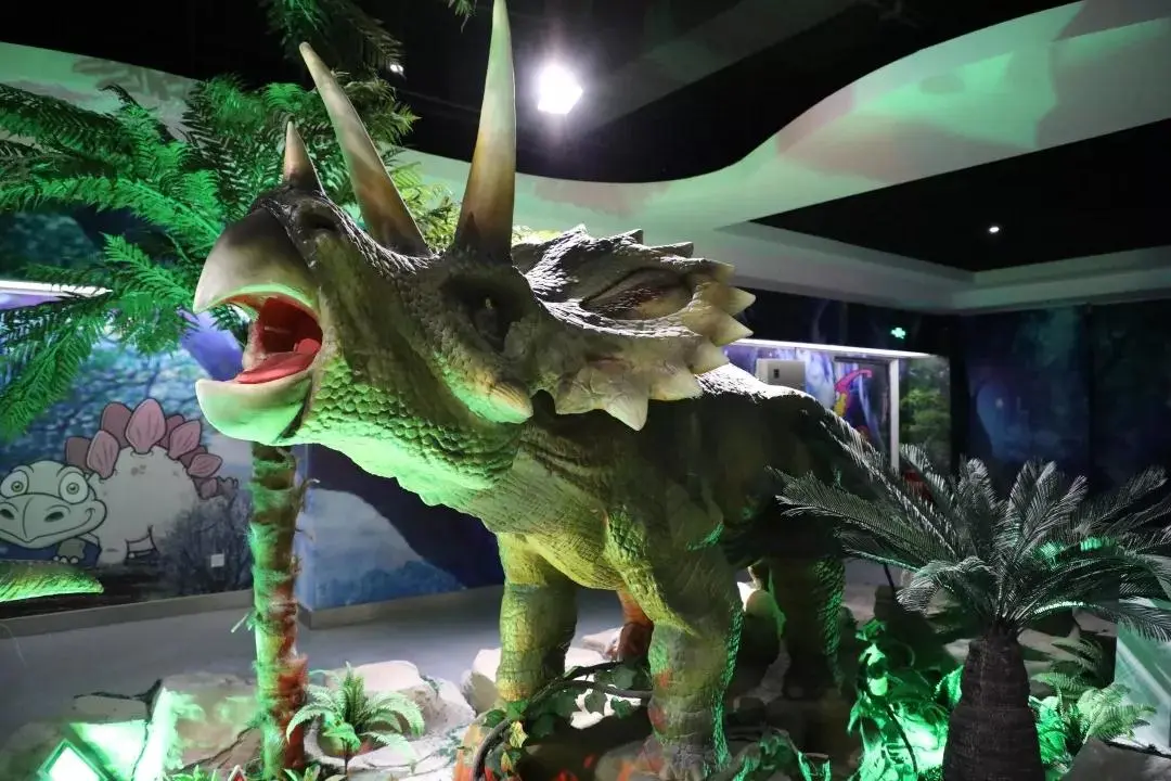 长安大学，来了