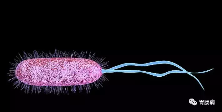 慢性浅表性（非萎缩性）胃炎