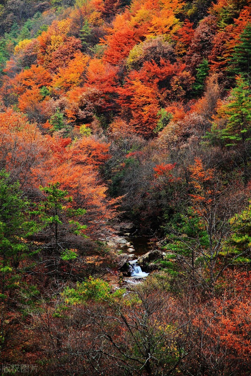 10月这12个颜值高地，已补好了妆，将向世人“卖弄”最美一面