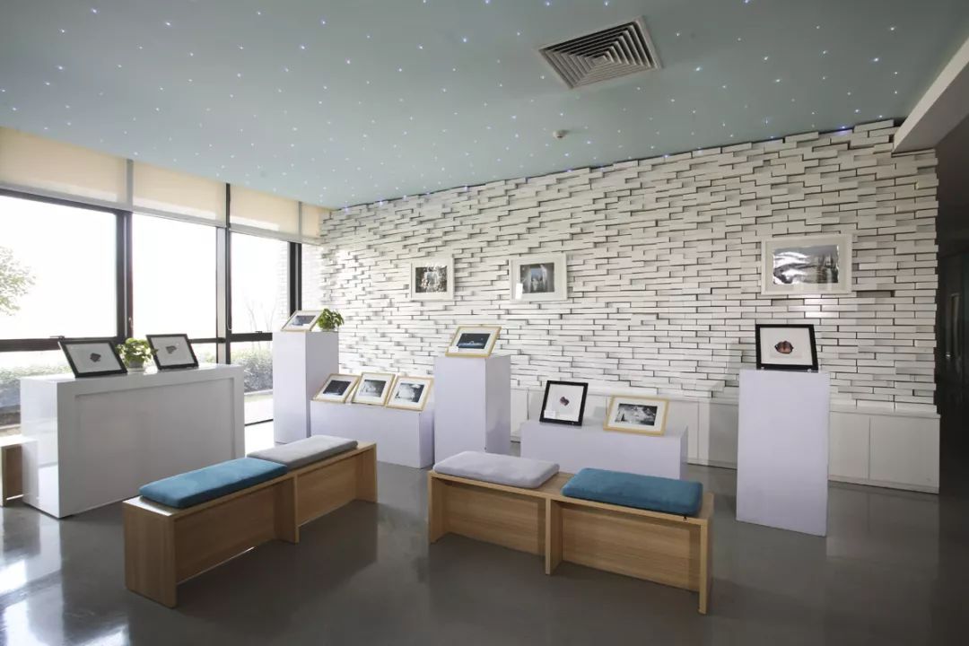 西安这座学费高达3万的大学，凭什么比985、211还受人欢迎？