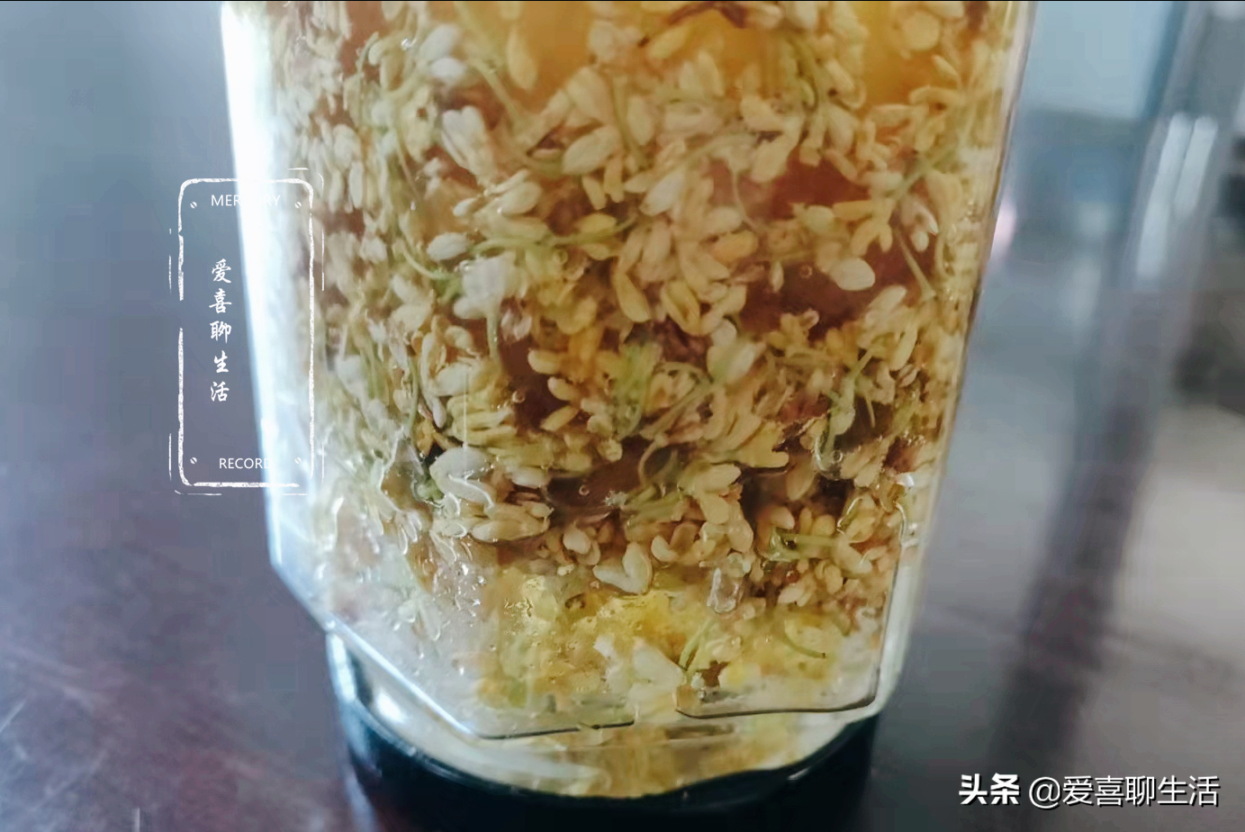 桂花蜜,桂花蜜 居無竹 dux