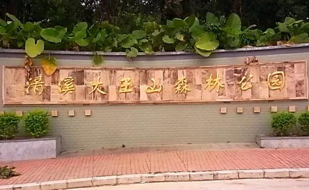 东莞7座免费山峰，景美人少故事多，可能你还没来过