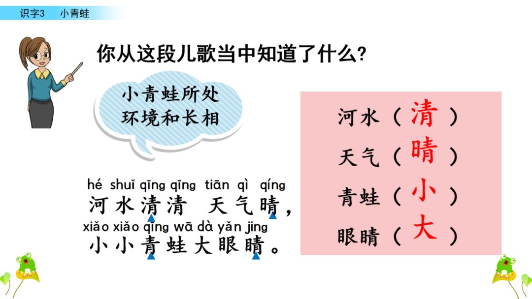 小学语文一年级下册 识字3《小青蛙》课文学案课件、同步练习答案