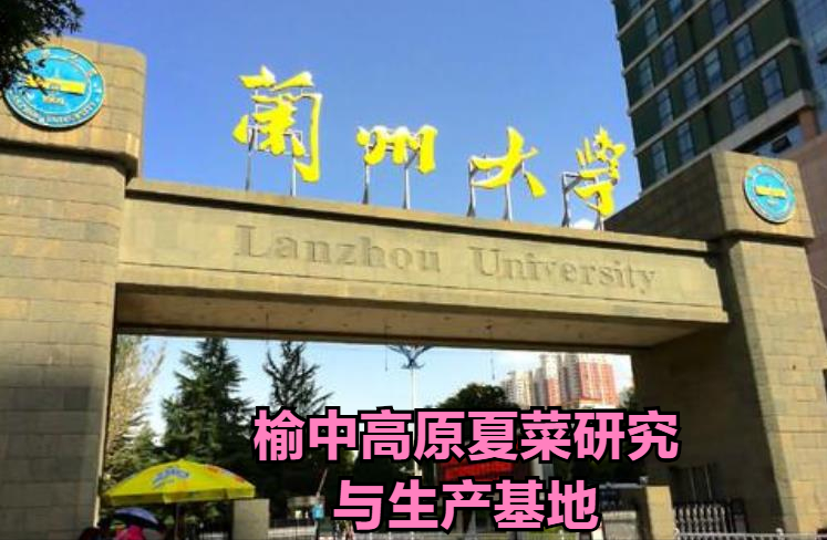 985大学的“江湖绰号”，真的是太过接地气，一不小心笑出了鹅声