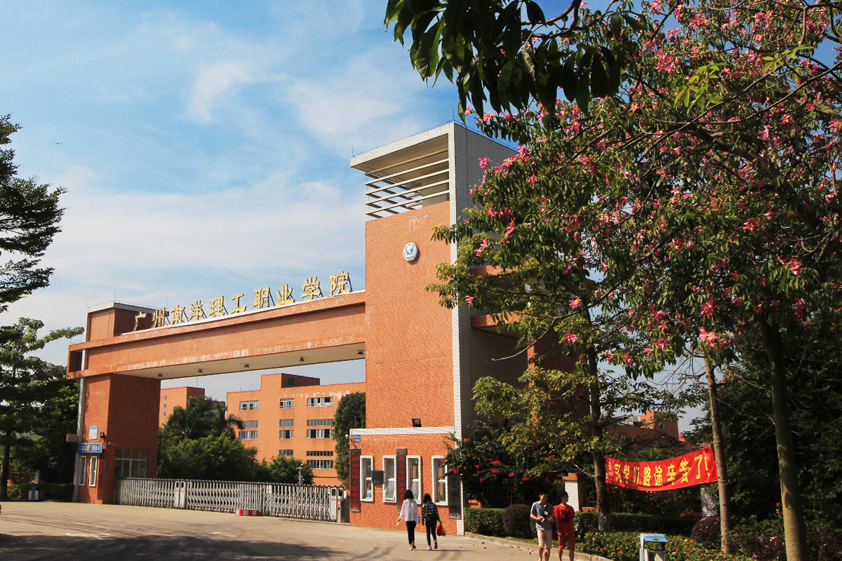 广东高考一分一段表出炉！4成考生上本科，专科生何去何从？