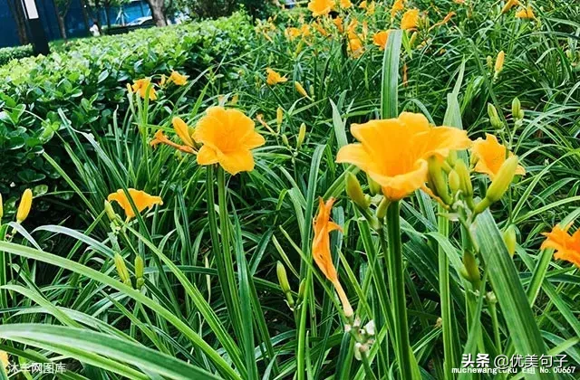 亲情,永远最重要