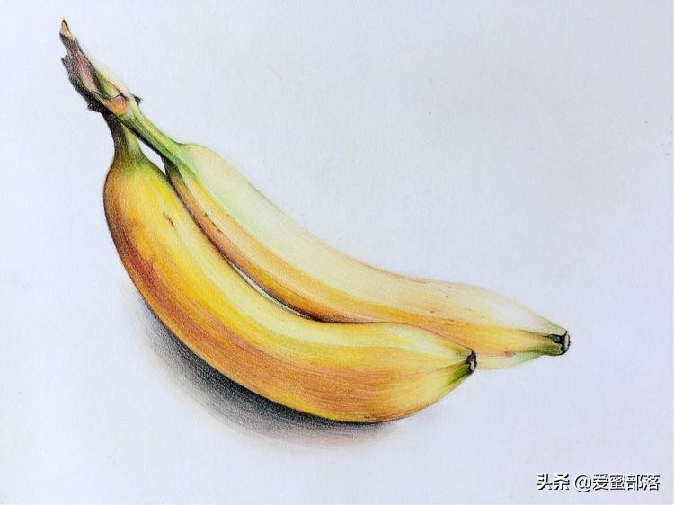 这类作品才能真正提高绘画能力，两只香蕉彩铅手绘教程