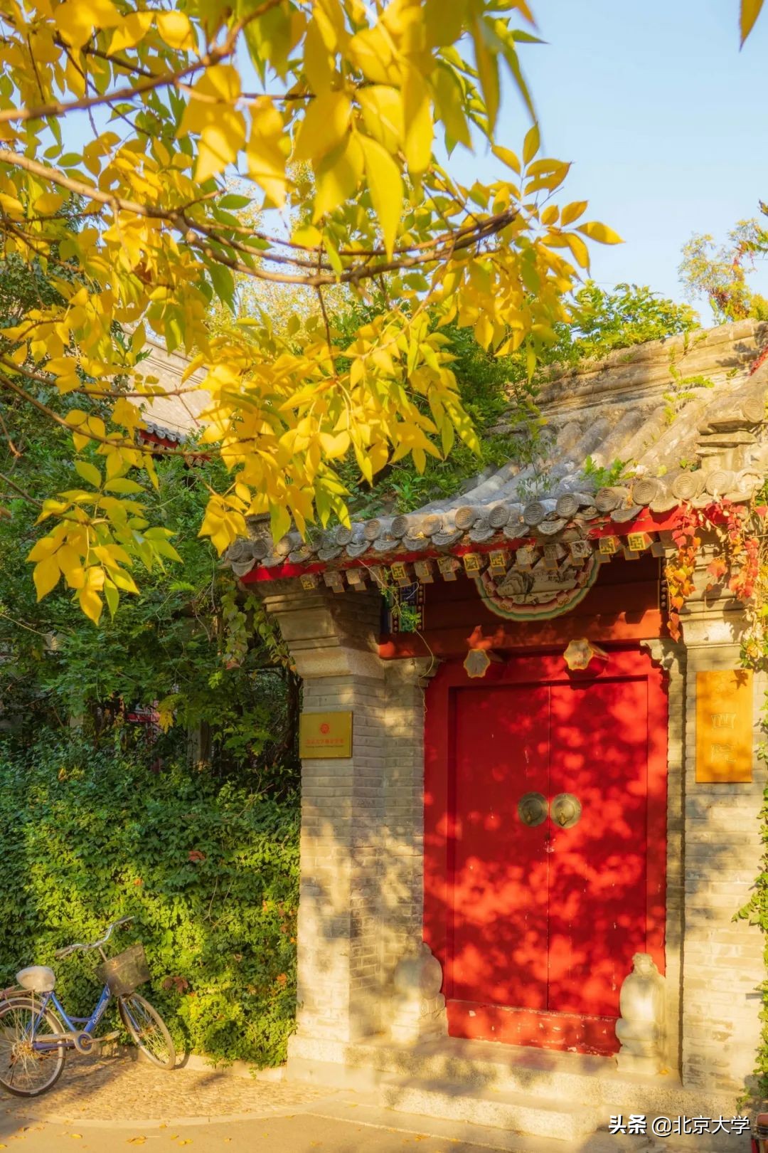 独家限定！北大赏秋地图来了