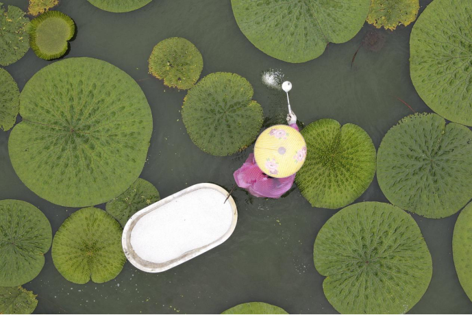 不老湯,不老湯包