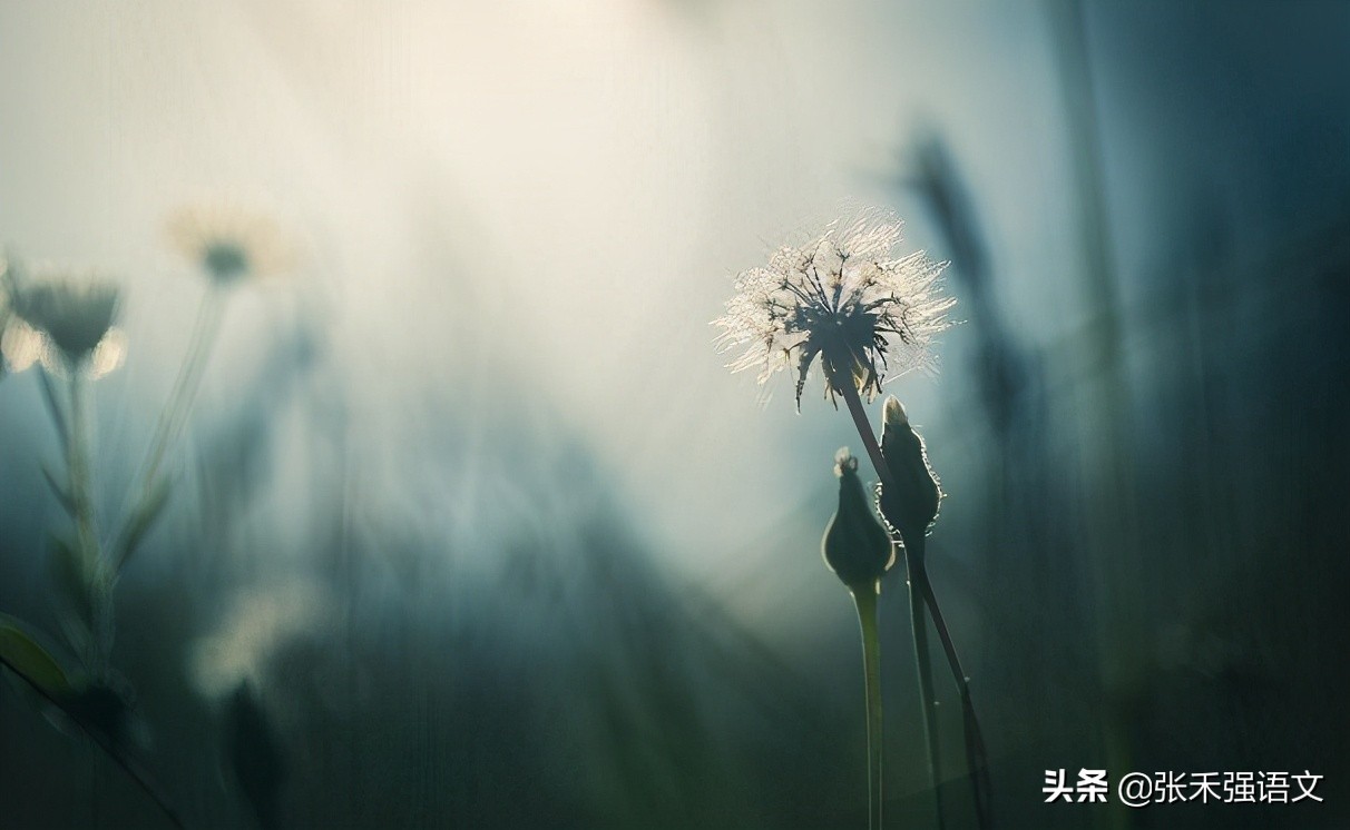 考场写作，如果天地是个大舞台，人生是一场舞蹈，我们该怎么跳？