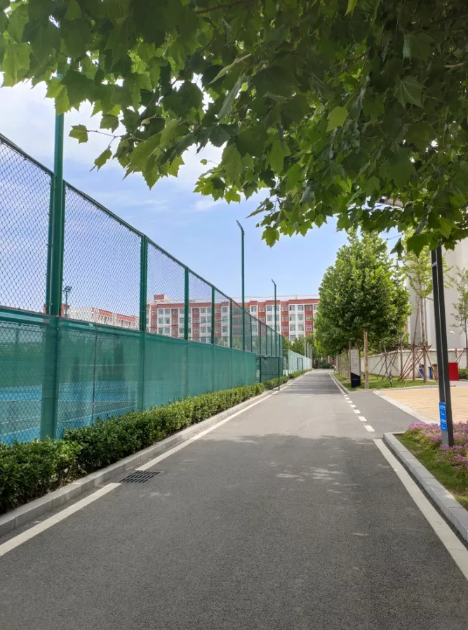 「2021中招」郑州重点高中哪家强？分数线及综评数据超全分析