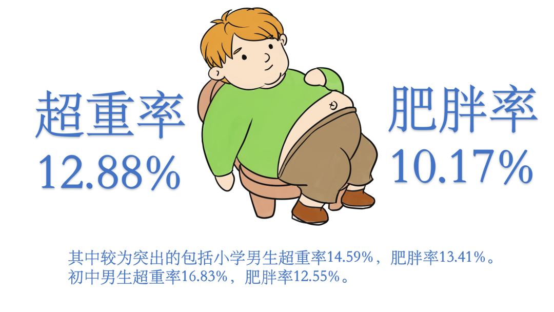如何为中小学生搭配一份营养餐？10套搭配方案及食谱，赶紧收藏