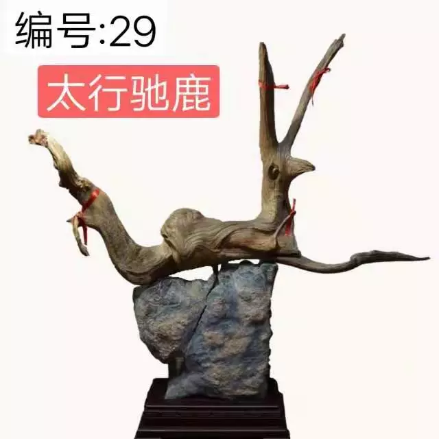 ãååãæ ¹éé¢å¾è¯ï¼åé¦ï¼