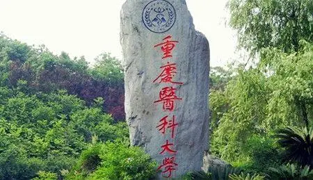 如果西政、重医并入重庆大学，现在重大地位如何？