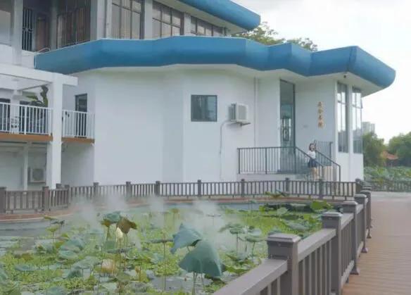 深圳十大免费特色的湖泊公园