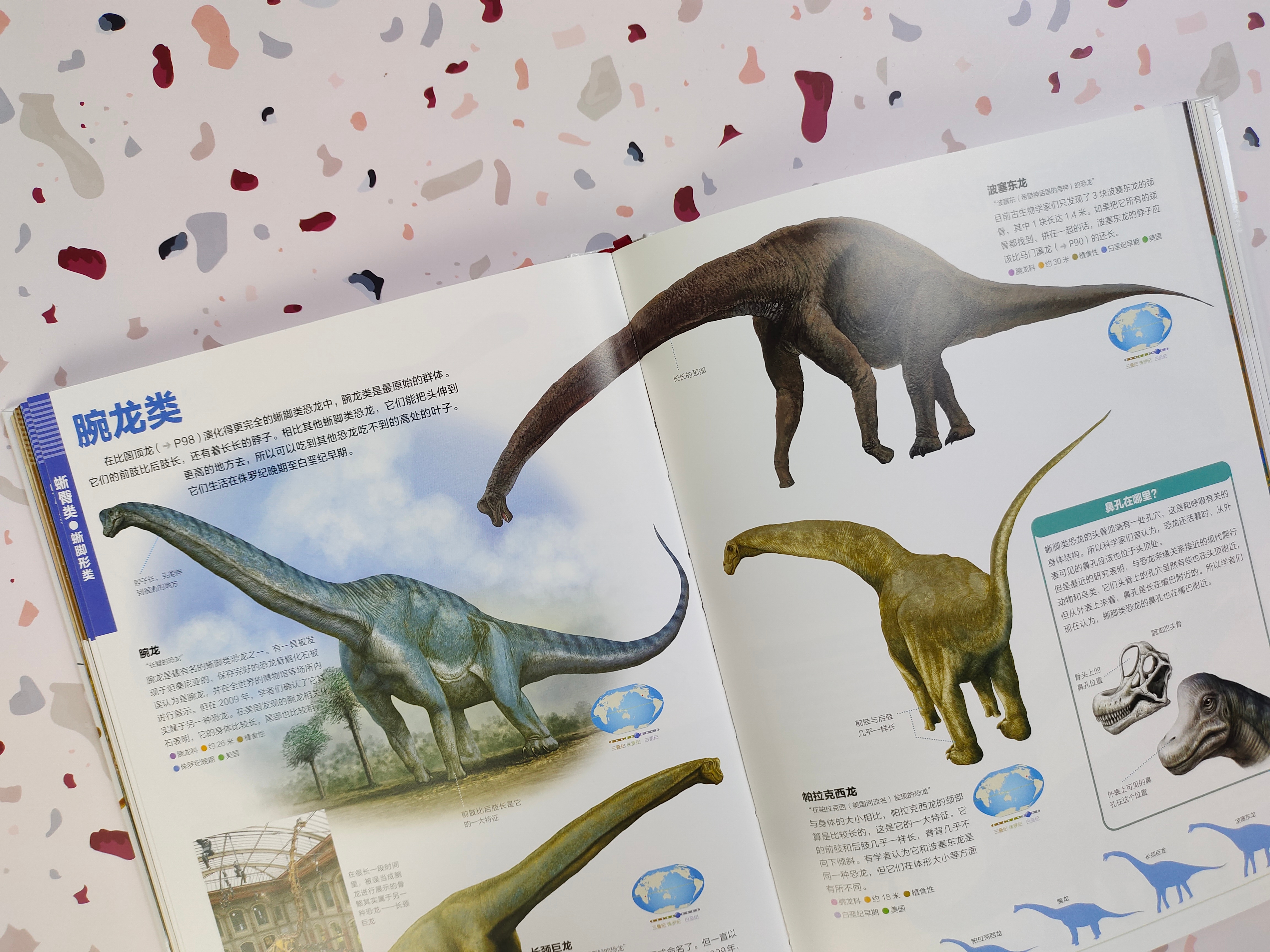 如果你是一位恐龙爱好者，千万不能错过这本恐龙百科全书