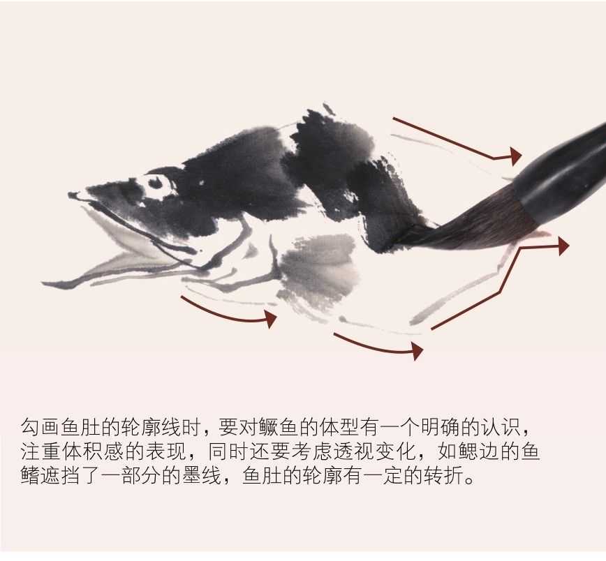 零基础水族的画法：怎么样用双勾发画金鱼鲤鱼？学会几分钟一幅画