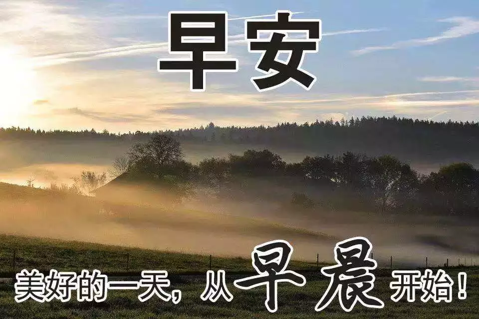 支付宝撒币15亿引发全民“薅羊毛”，文案真是哈哈哈哈哈