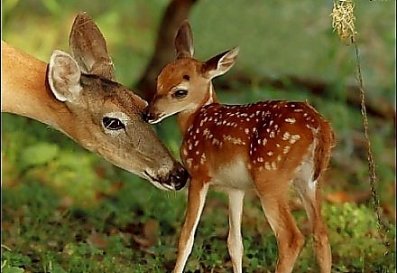 敬畏：万物皆有灵，天地不可欺！