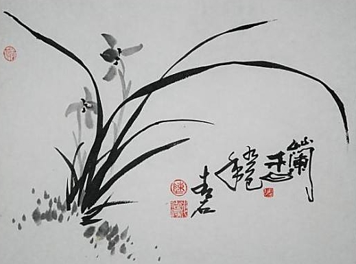 兰花诗词集锦大全及解释(100首最美兰草诗词大全)