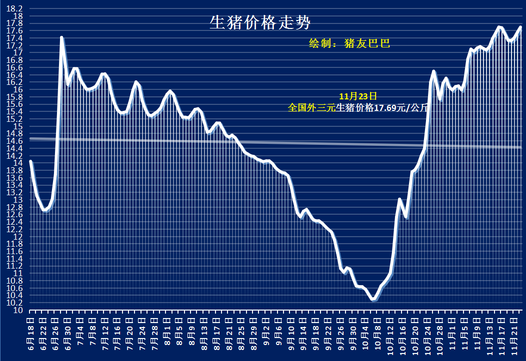 猪价“坐火箭”，全国猪价“红彤彤”！11月23日猪价