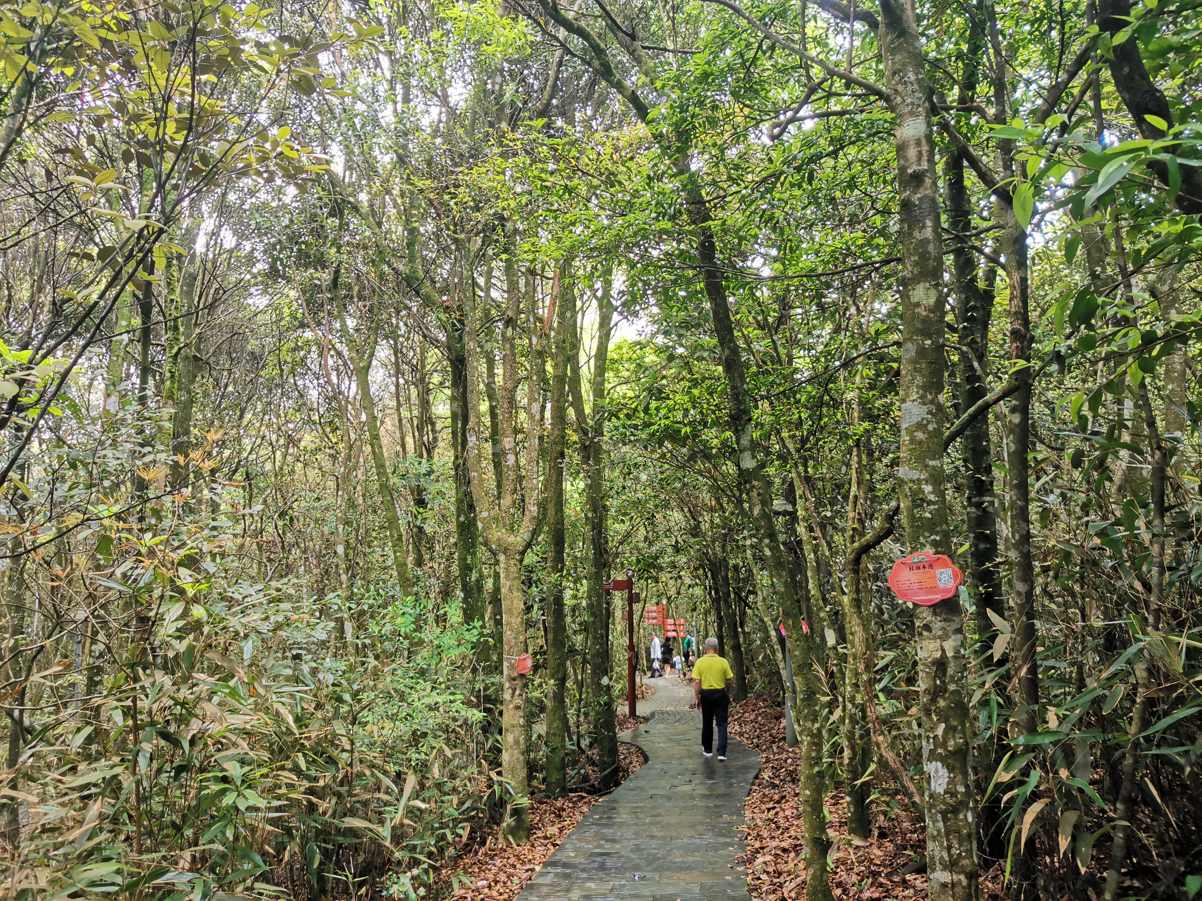 周末带上家人自驾旅游—广西大明山